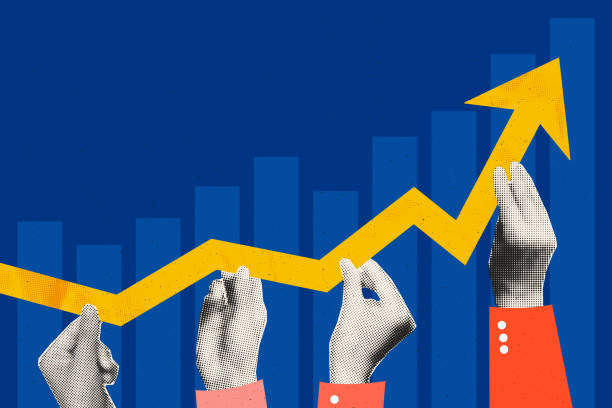 怎么申报瑞典vat要多少钱